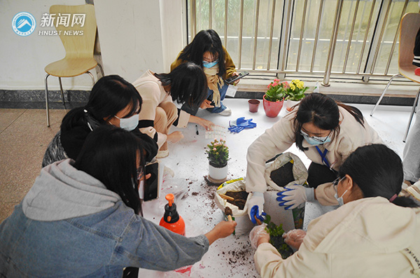 3306b18e068240ca9fdd0485ee164e9f.jpg 植树3.jpg