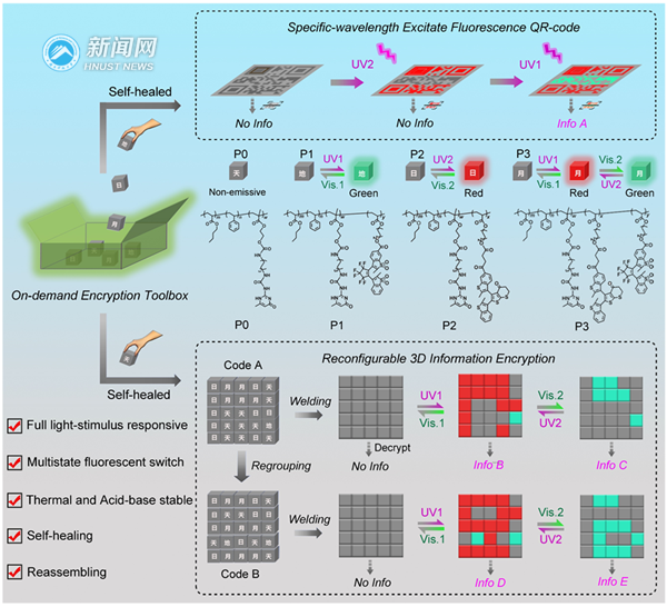 e7cbcee7cf724e37804ec5e67fd92584.png 陈建1.png