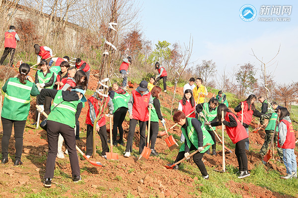 植树3.jpg